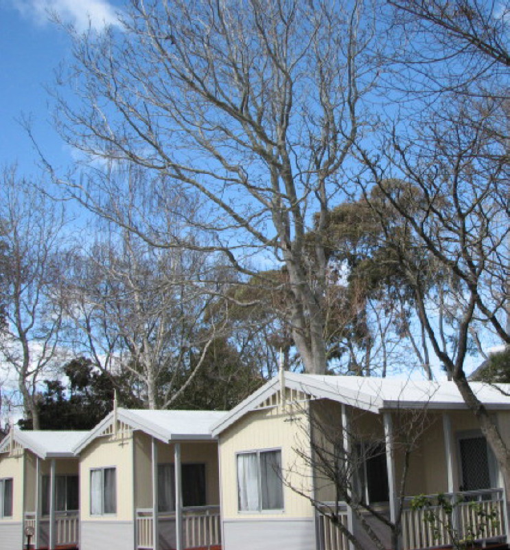 island bungalow